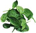 spinach